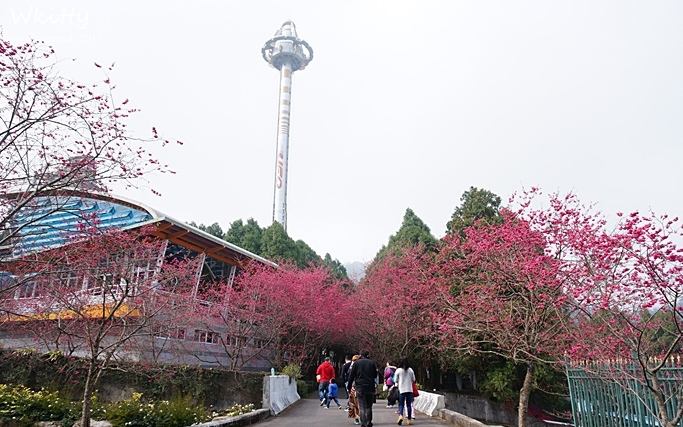 照片：「小環」BLOG