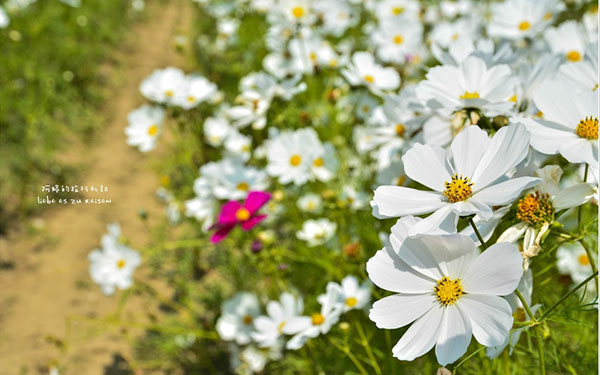 照片：「阿婷」BLOG