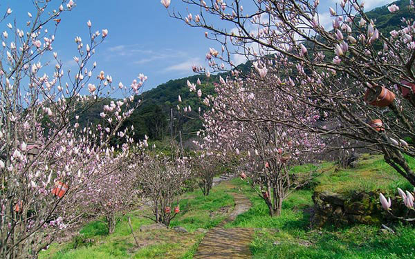 照片：「寰兒」BLOG