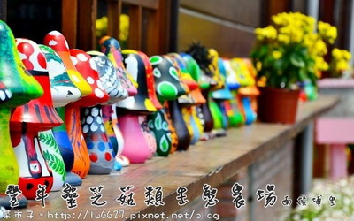 照片：「菜市子」BLOG