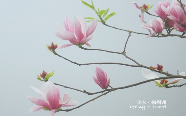 照片：「penny」BLOG