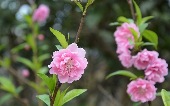 照片：「寶小銘」BLOG