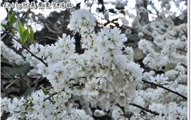 照片：「玟玟」BLOG
