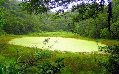 照片：「菜鳥馬咪」BLOG