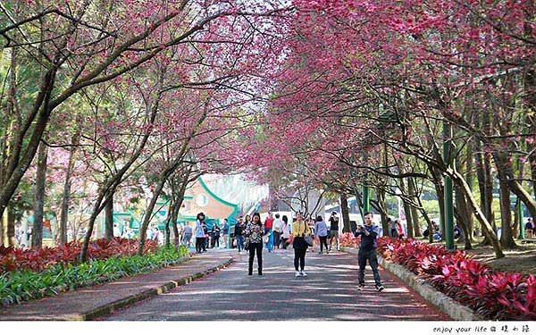 照片：「規小孫」BLOG
