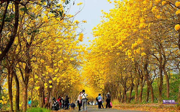 照片：「紫川琪灩」BLOG