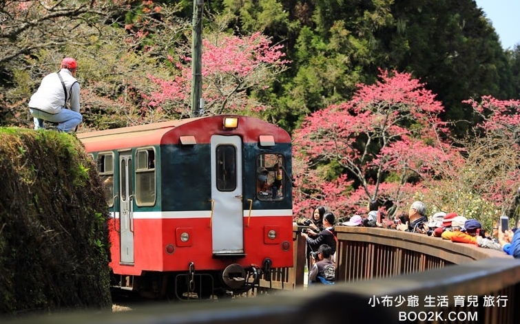 照片：「許小布」BLOG