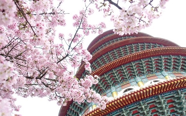照片：「野蠻王妃」BLOG