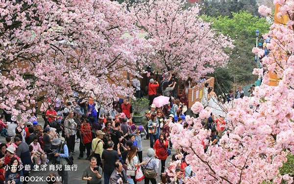 照片：「許小布」BLOG
