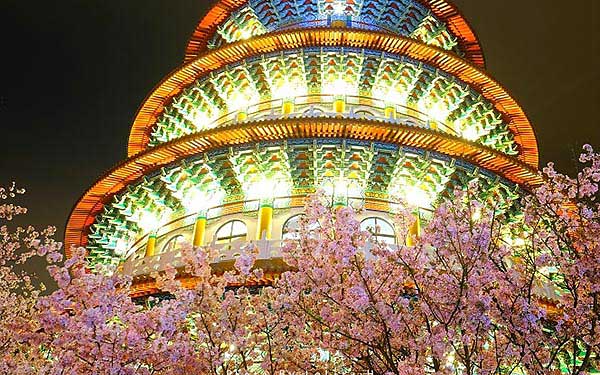 照片：「謝蘿莉」BLOG