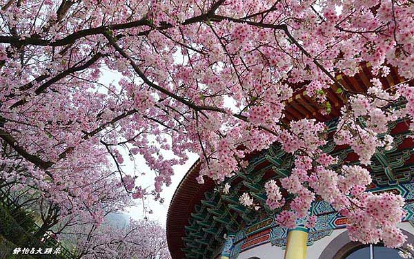 照片：「小靜怡」BLOG
