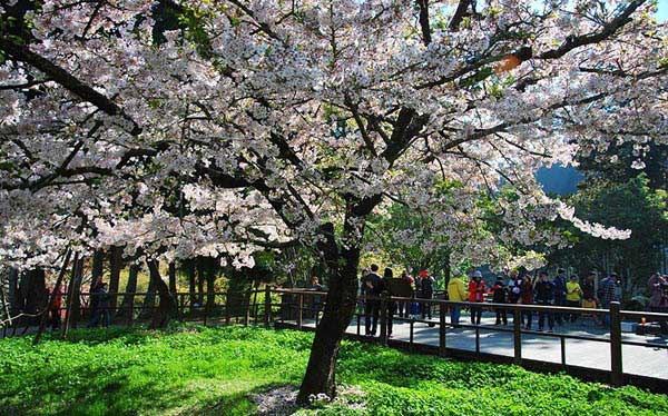 照片：「TAO」BLOG