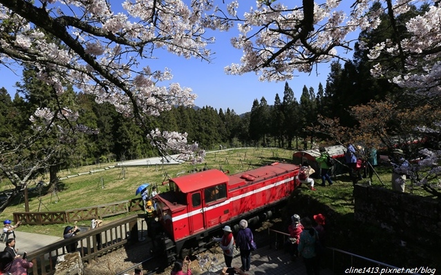 照片：「野蠻王妃」BLOG