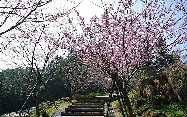 照片：「嘎眯」BLOG