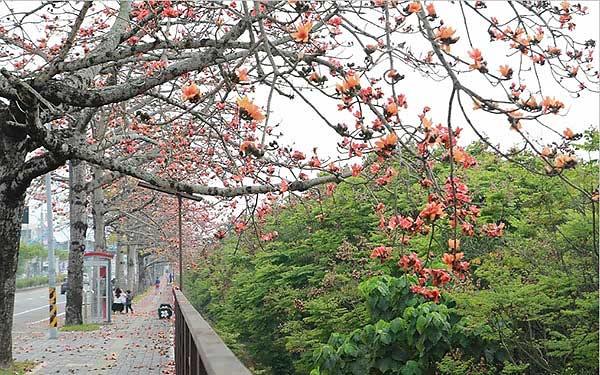 照片：「規小孫」BLOG