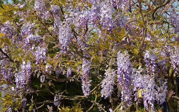 照片：「寶小銘」BLOG