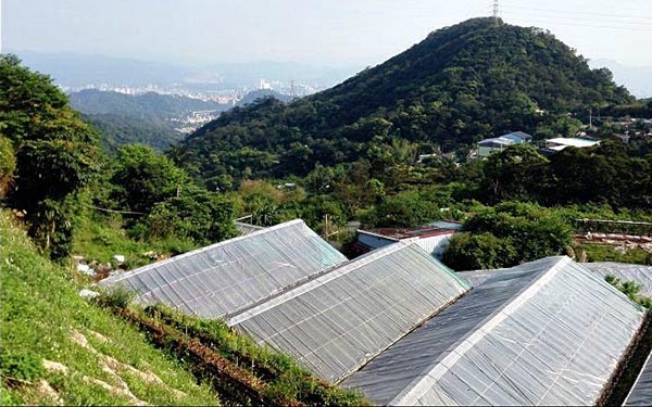 照片：「鄧涵榛」BLOG