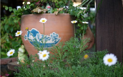 照片：「妮可」BLOG