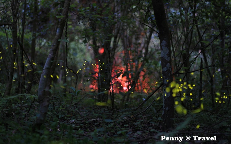 照片：「penny」BLOG