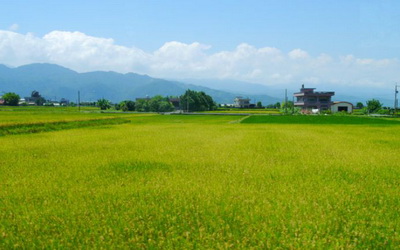 照片：「妮可」BLOG