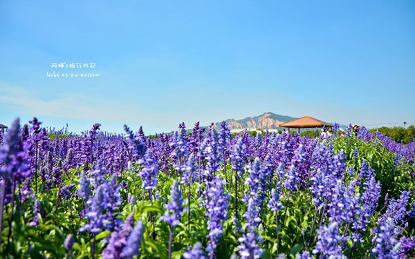 照片：「阿婷」BLOG
