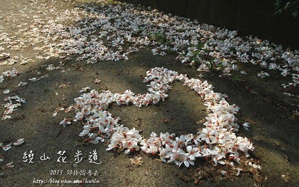 照片：「小恩恩」BLOG