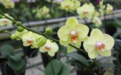 照片：「小安」BLOG