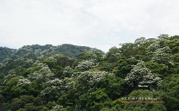 照片：「小芝」BLOG
