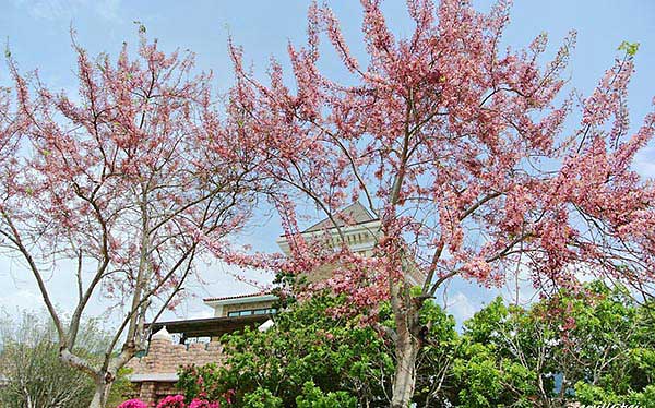 照片：「嘎眯」BLOG