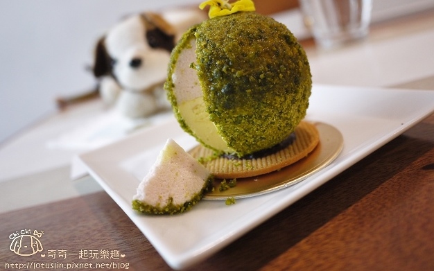 照片：「奇奇一起玩樂趣」BLOG