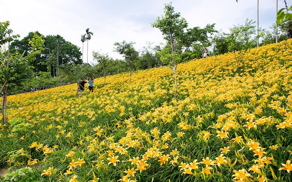 照片：「oldfather」BLOG