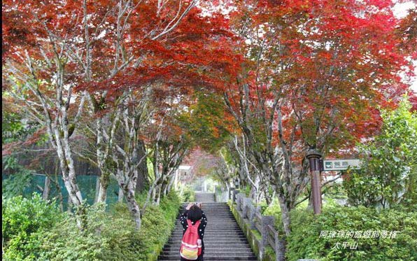 照片：「阿珠珠」BLOG