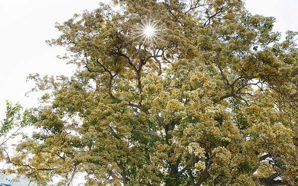 照片：「oldfather」BLOG