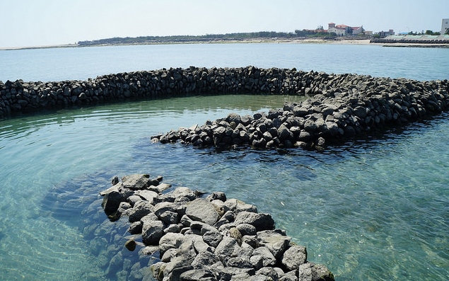 照片：「妮可」BLOG