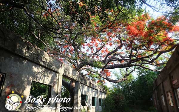 照片：「豬小詠」BLOG