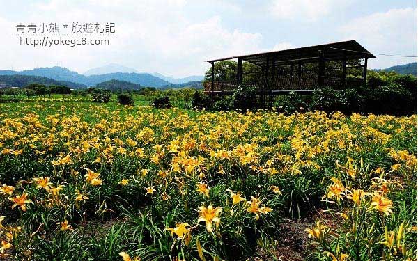 照片：「青青」BLOG