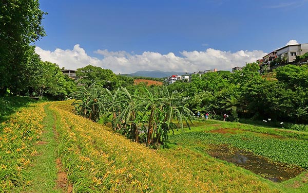 照片：「小芝」BLOG