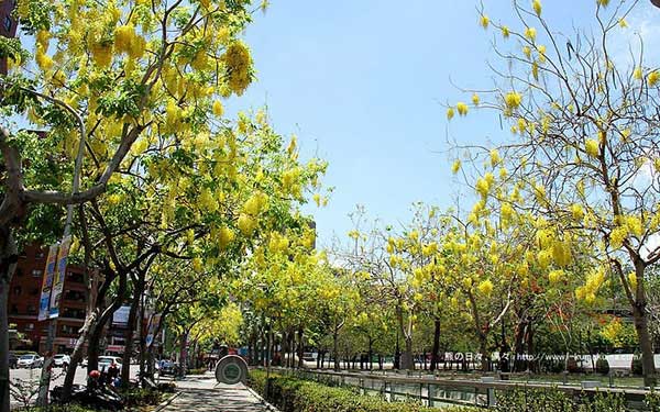 照片：「kuma」BLOG