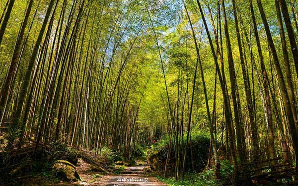 照片：「阿婷」BLOG