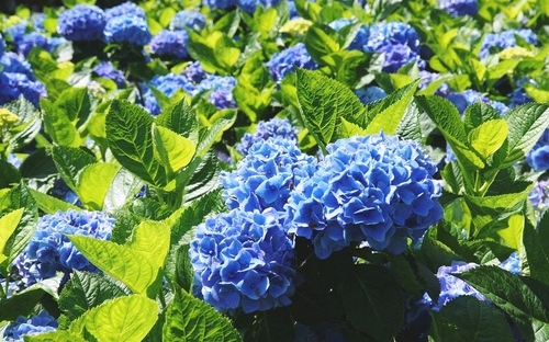 照片：「Sky」BLOG