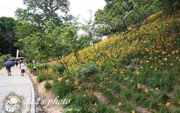 照片：「豬小詠」BLOG