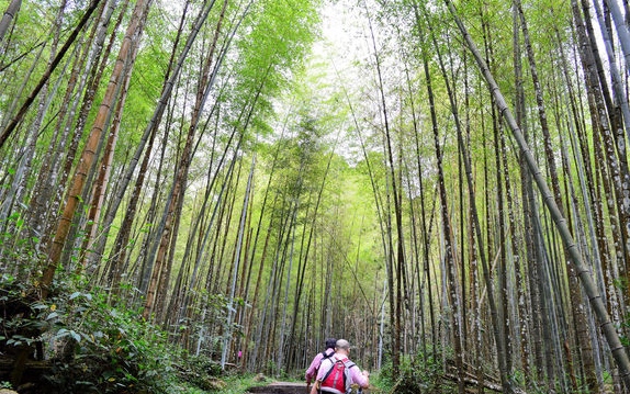 照片：「小玉兒」BLOG