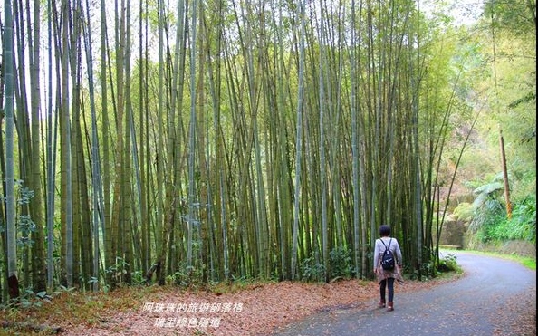 照片：「阿珠珠」BLOG