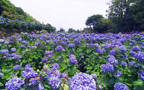 照片：「寰兒」BLOG