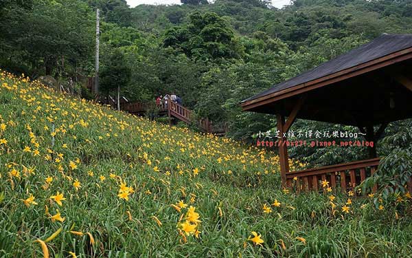 照片：「小芝」BLOG