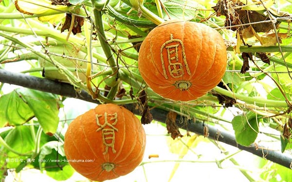照片：「kuma」BLOG