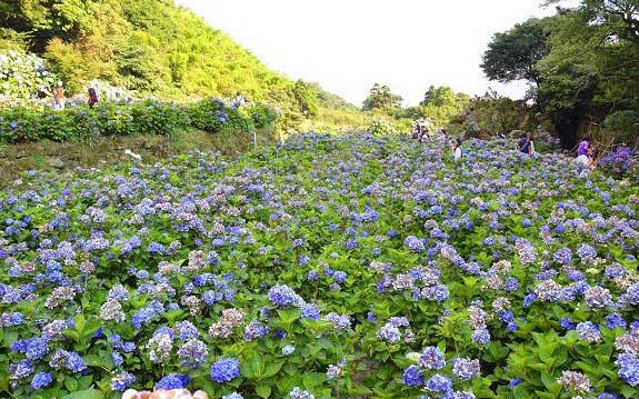照片：「寶小銘」BLOG