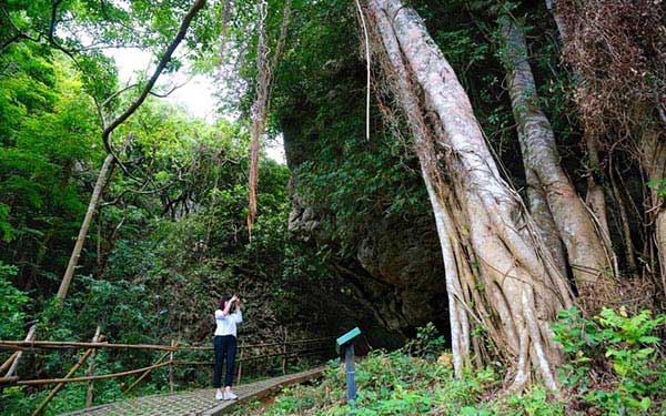 照片：「小q」BLOG