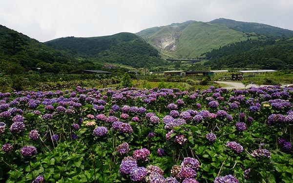 照片：「妮可」BLOG