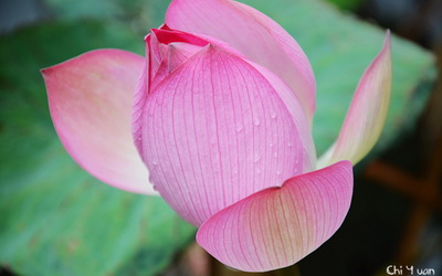 照片：「奇緣」BLOG